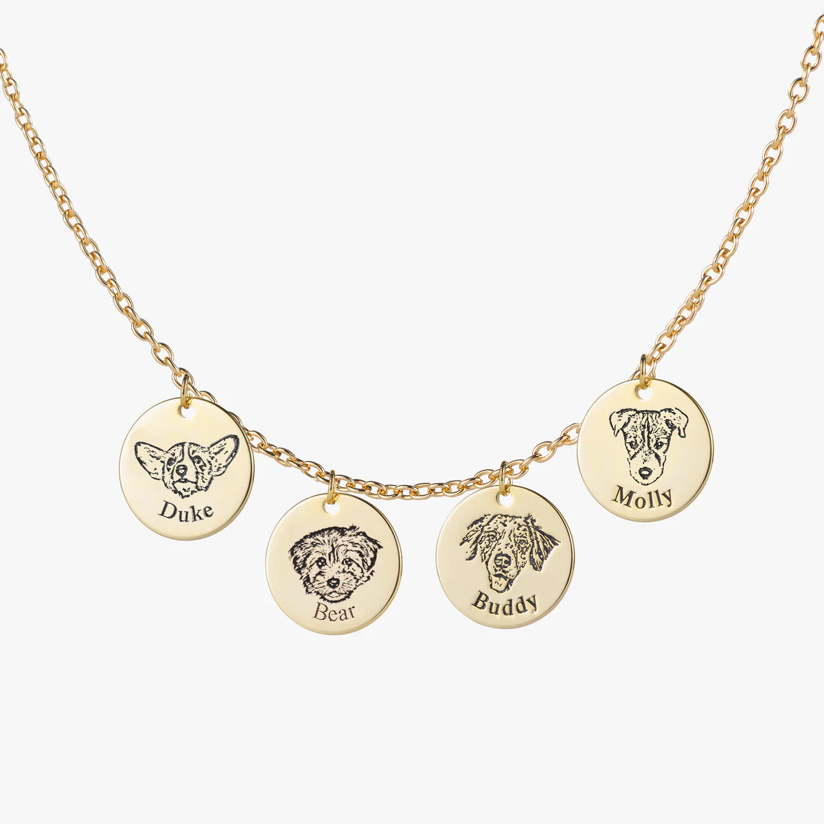 שרשרת פנים לחיות מחמד