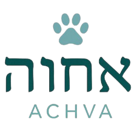 achva.store
